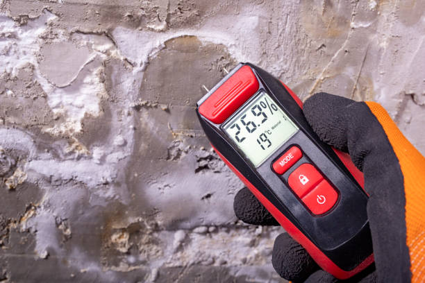 Reliable Warrensburg, MO Mold Removal Solutions