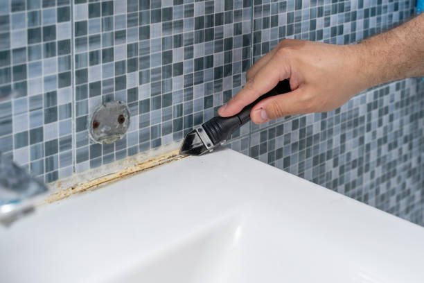 Best Emergency Mold Removal  in Warrensburg, MO